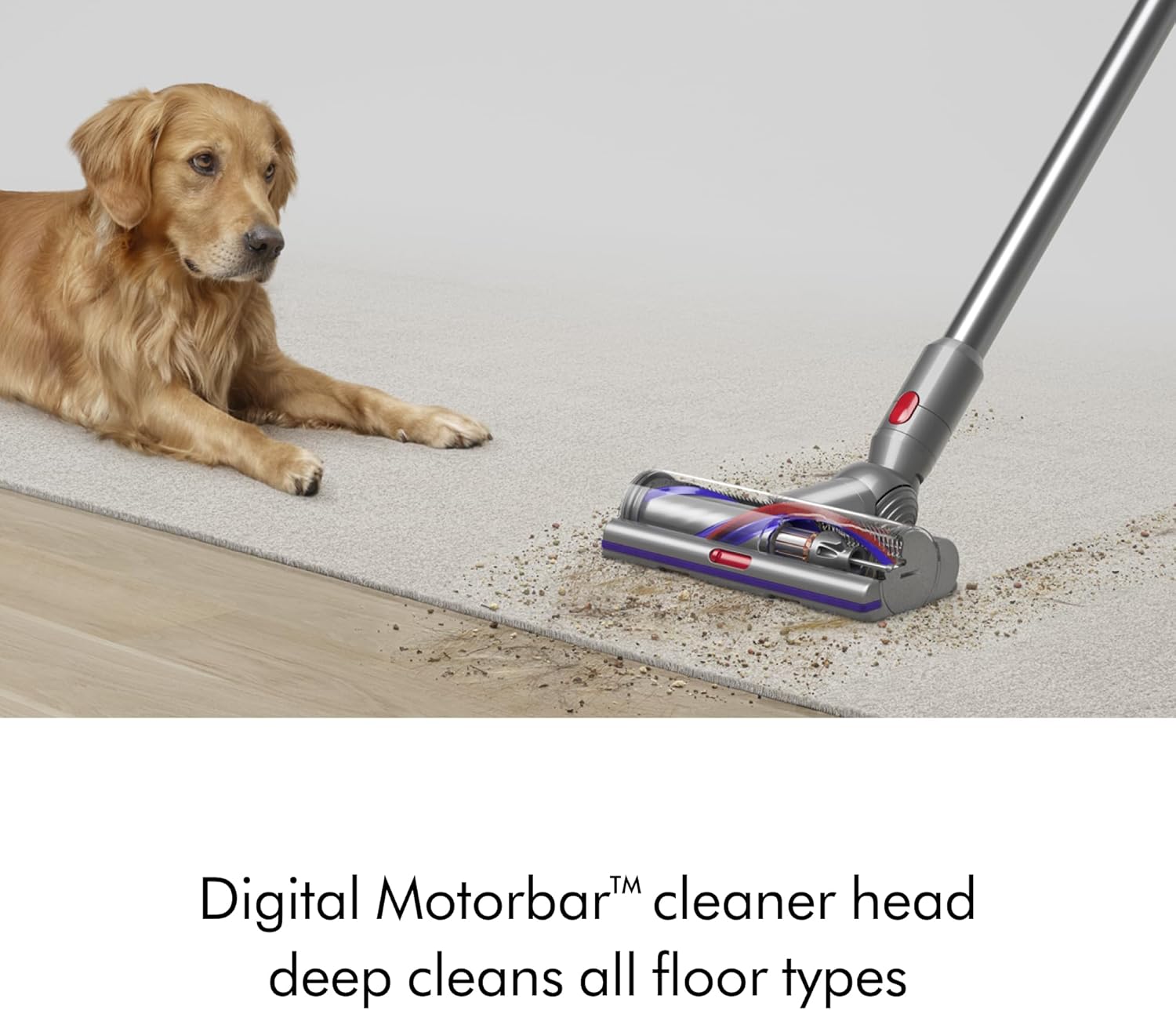 Dyson V15 Detect Cordless Vacuum manufacturer media candidate